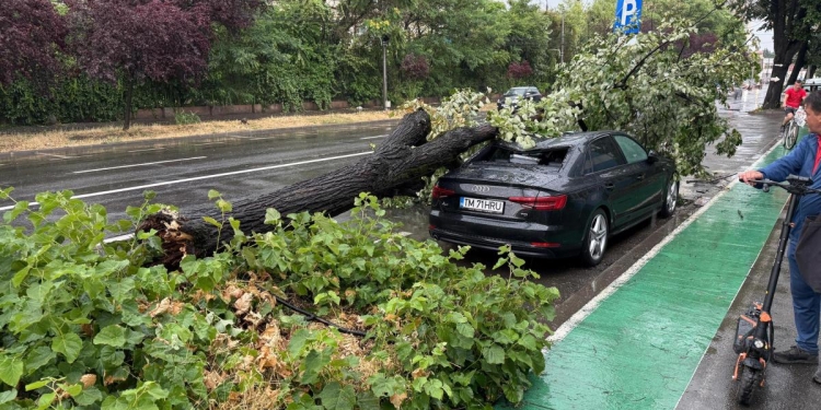 Timiș sub cod roșu: Copaci căzuți, acoperișuri smulse, mașini avariate, copil rănit de țigle