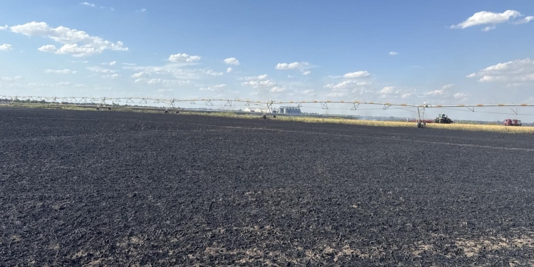 Sute de hectare scrum, în Timiș, în doar 2 săptămâni