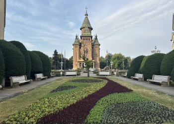 Zeci de mii de plante în Piața Victoriei din Timișoara