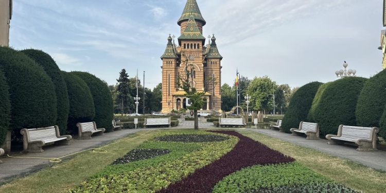 Zeci de mii de plante în Piața Victoriei din Timișoara