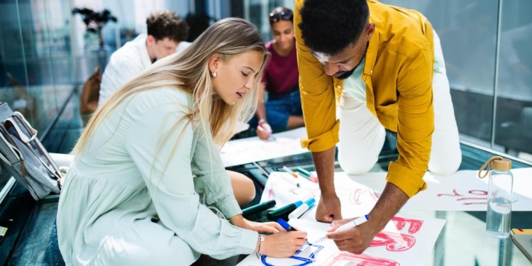 Licenii timișoreni pot să atragă proiecte pentru școlile lor