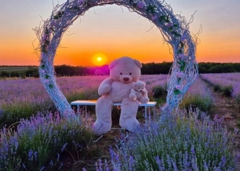 Timișul s-a transformat într-un festival al gustului, parfumului și comunității, în weekend FOTO