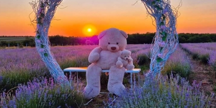 Timișul s-a transformat într-un festival al gustului, parfumului și comunității, în weekend FOTO