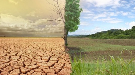 Aquatim: Deșertificarea și seceta afectează milioane de oameni