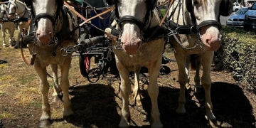 Trei zile pline de magie la Festivalul Medieval al Castelului Huniade FOTO