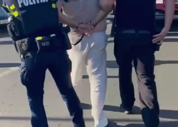 Locala, mai promptă decât Naționala. Paula Romocean, viceprimarul Timișoarei cere mai multă implicare a Poliției Naționale