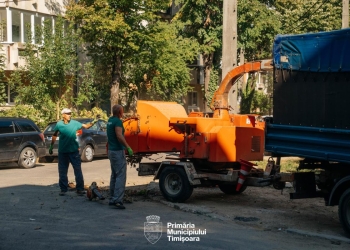 Curățenie generală la spațiile verzi din zonele Circumvalațiunii și Odobescu din Timișoara
