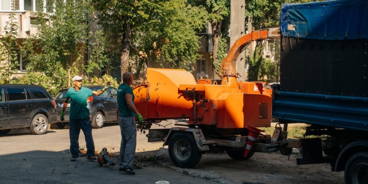 Curățenie generală la spațiile verzi din zonele Circumvalațiunii și Odobescu din Timișoara