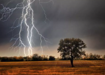 Un copac și o anexă, lovite de trăsnet în Timiș