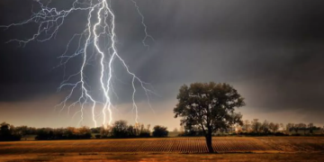 Un copac și o anexă, lovite de trăsnet în Timiș