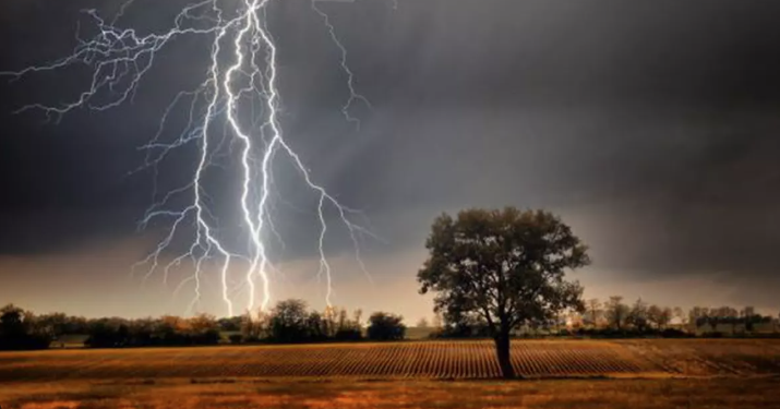 Un copac și o anexă, lovite de trăsnet în Timiș