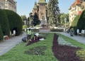 Angajări la Horticultura