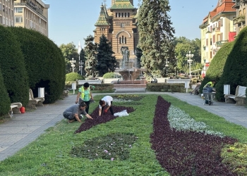 Angajări la Horticultura