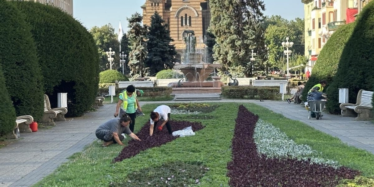 Angajări la Horticultura