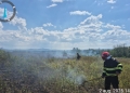 Zile de foc pentru pompierii din Timiș! Zeci de incendii de vegetație uscată, la început de august