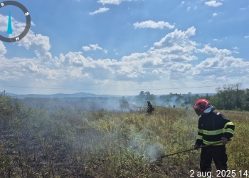 Zile de foc pentru pompierii din Timiș! Zeci de incendii de vegetație uscată, la început de august