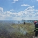 Zile de foc pentru pompierii din Timiș! Zeci de incendii de vegetație uscată, la început de august