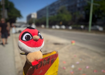 Comunitatea din zona Gării de Nord din Timișoara, după primele măsuri luate de autorități: „Problema nu a fost rezolvată”