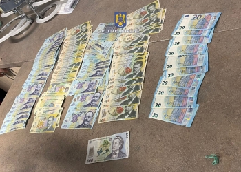 Percheziții în 16 locații din Timiș și Gorj, într-un dosar privind evaziune fiscală prin ride-sharing