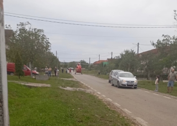 O femeie din Caraș-Severin și-a pierdut viața, ucisă de propriul câine