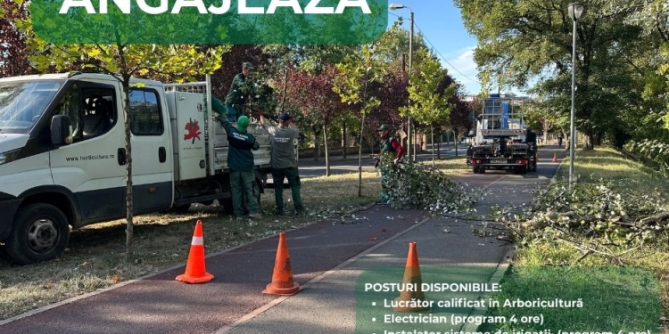 Horticultura Timișoara face angajări