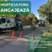 Horticultura Timișoara face angajări