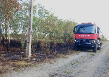 Incendiu puternic de vegetație uscată, în Timiș! Un bărbat este în stare gravă