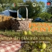 Foc de tabără, teatru și mese cu preparate locale! Are loc un nou „Picnic în pustă”, la Otelec