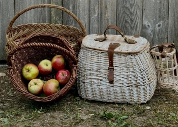 „Picnic în pustă” într-o livadă cu meri din Otelec FOTO