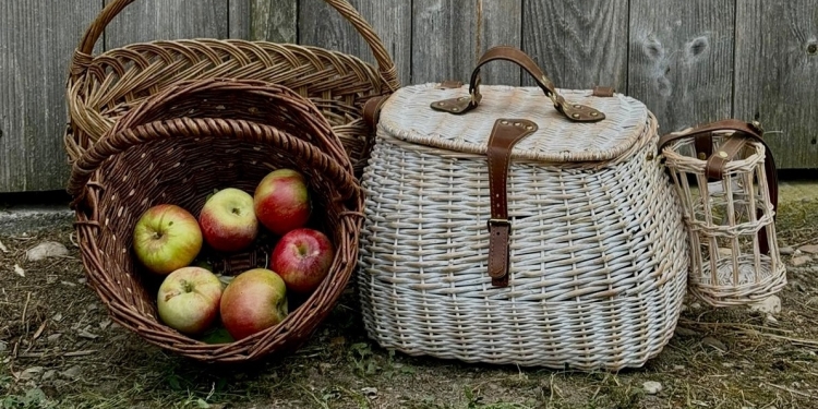 „Picnic în pustă” într-o livadă cu meri din Otelec FOTO