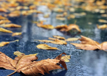 Vreme urâtă în zona de vest a țării! Sunt așteptate ploi și vânt puternic