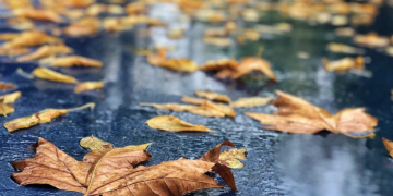 Vreme urâtă în zona de vest a țării! Sunt așteptate ploi și vânt puternic