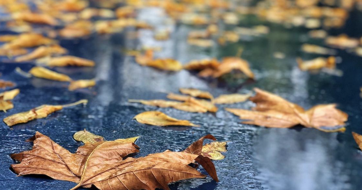 Vreme urâtă în zona de vest a țării! Sunt așteptate ploi și vânt puternic