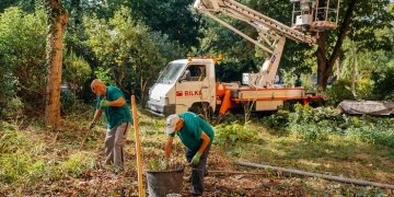 Primăria Timișoara continuă lucrările de întreținere a spațiilor verzi dintre blocuri FOTO