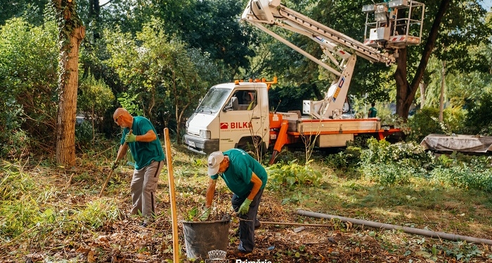 Primăria Timișoara continuă lucrările de întreținere a spațiilor verzi dintre blocuri FOTO