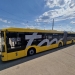 Primul troleibuz articulat nou a ajuns la Timișoara! Urmează să fie livrate încă 24
