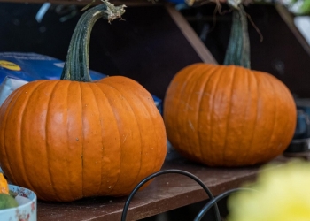 Gustul autentic al toamnei în piețele din Timișoara FOTO