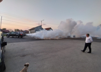 S-a dat startul stropilor împotriva țânțarilor și căpușelor în comuna Sânmihaiu Român FOTO