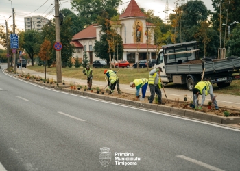 Trotuarele de pe B-dul Liviu Rebreanu din Timișoara vor fi refăcute