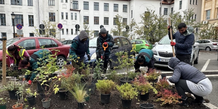 Lucrări de întreținere și plantări în parcurile din Timișoara: Botanic, Regina Maria, Alpinet