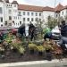 Lucrări de întreținere și plantări în parcurile din Timișoara: Botanic, Regina Maria, Alpinet