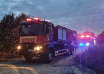 Incendiu pe o stradă din Timișoara! Pompierii au salvat un arici