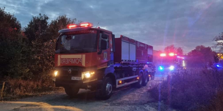 Incendiu pe o stradă din Timișoara! Pompierii au salvat un arici