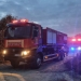 Incendiu pe o stradă din Timișoara! Pompierii au salvat un arici