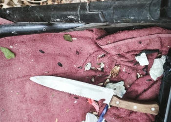 Portarul unei școli din Timișoara, bătut de 2 indivizi care voiau să fure o bicicletă din fața unității de învățământ