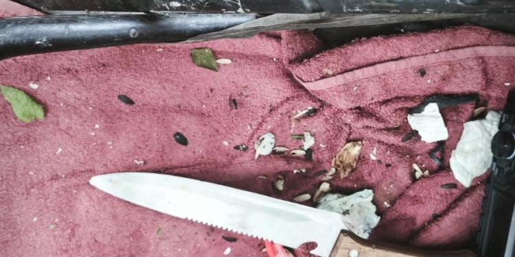 Portarul unei școli din Timișoara, bătut de 2 indivizi care voiau să fure o bicicletă din fața unității de învățământ