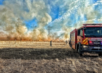 Incendiile de vegetație continuă să facă prăpăd în Timiș