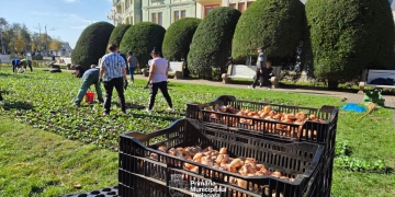 Piața Victoriei din Timișoara se pregătește de primăvară