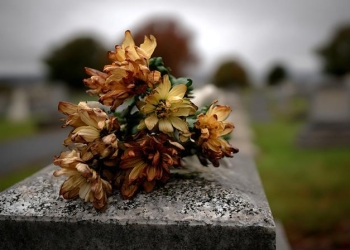 Primăria Timișoara va prelua cererile pentru comerț stradal cu produse specifice zilei de 1 noiembrie