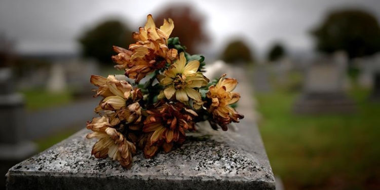 Primăria Timișoara va prelua cererile pentru comerț stradal cu produse specifice zilei de 1 noiembrie